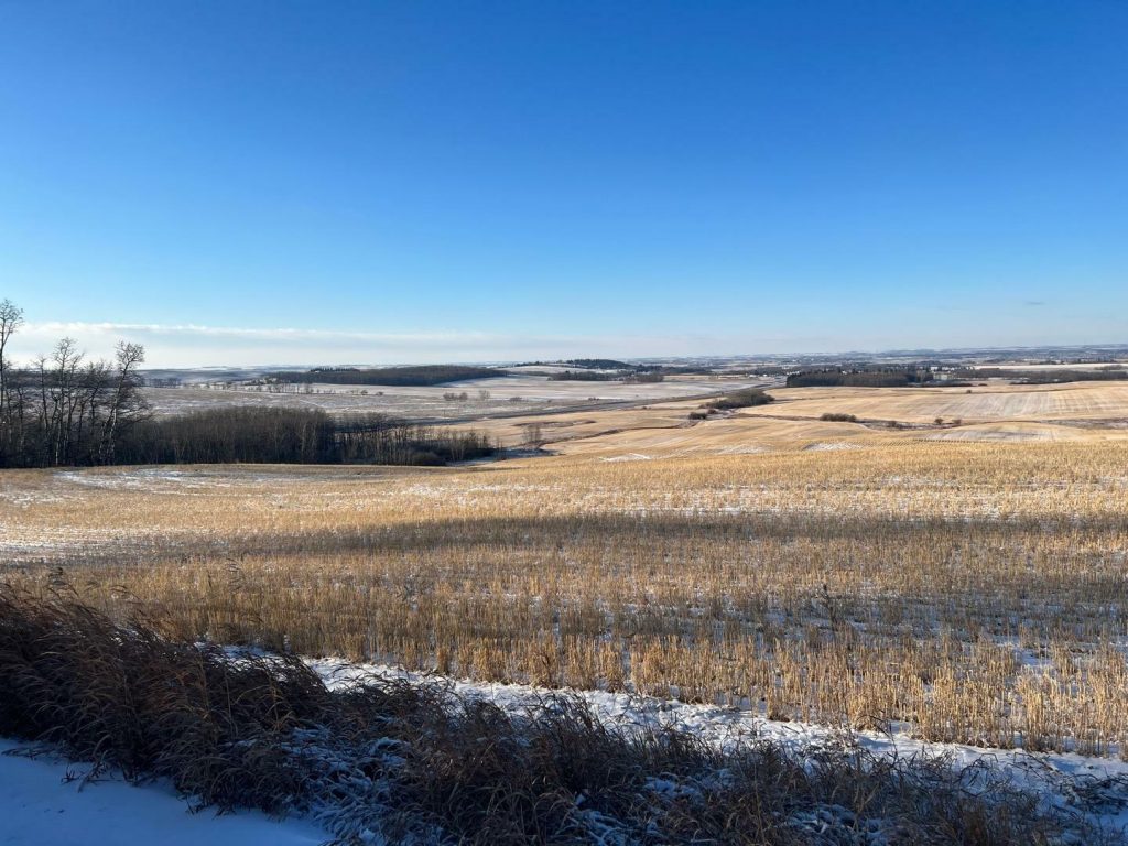 VACANT LAND FOR RENT IN RURAL RED DEER COUNTY, ALBERTA, CANADA