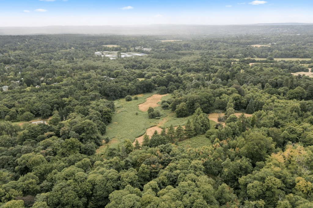 Espace boisé à louer, Angleterre