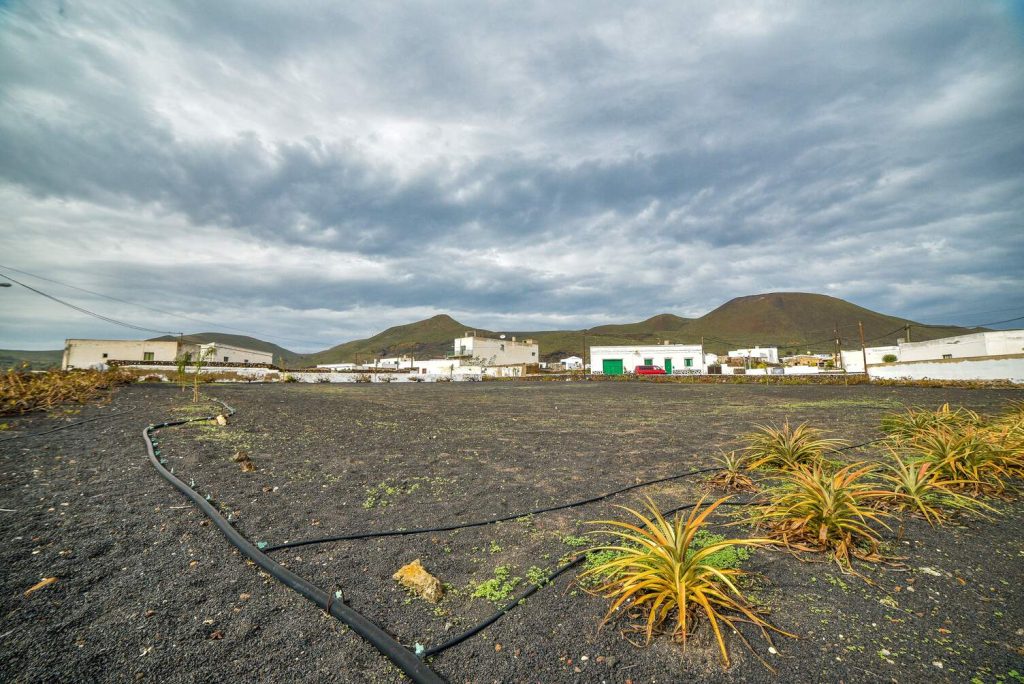 Finca La Cancela