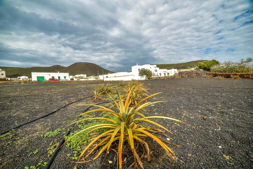 Finca La Cancela