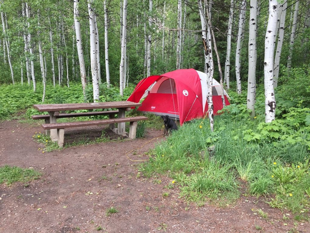 Rent a parcel for camping with family and friends in Toronto and discover the city's natural beauty