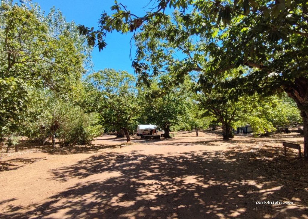 Escape to Coastal Paradise: Rent a Tranquil Campsite for Unforgettable Adventures in Sydney!