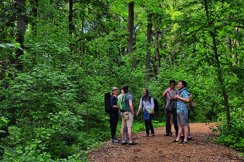 Escape to Nature in the Heart of New York: Rent a Tranquil Campsite for Your Next Adventure!