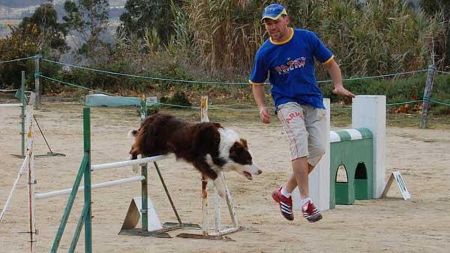 Lugar para entrenar a tu perro en Galicia