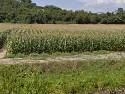 Terreno agricolo in affitto a Verona - Coltiva i tuoi prodotti