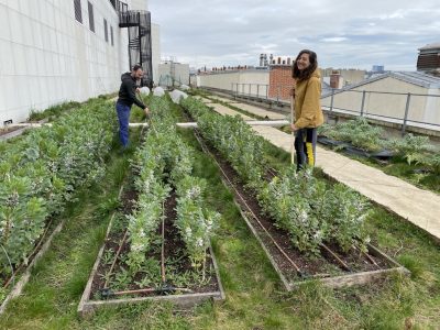 Espace pour activités agricoles à Paris - Cultivez votre propre jardin