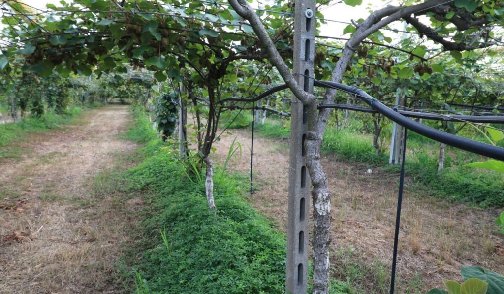 Terreno per coltivare le tue passioni a Verona - Giardino dei tuoi sogni
