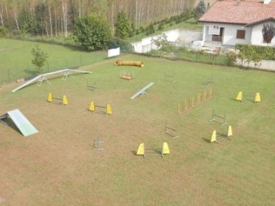 Campo di addestramento per cani a Verona - Esperti a quattro zampe benvenuti