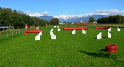Campo di addestramento per cani a Torino - Amici a quattro zampe benvenuti