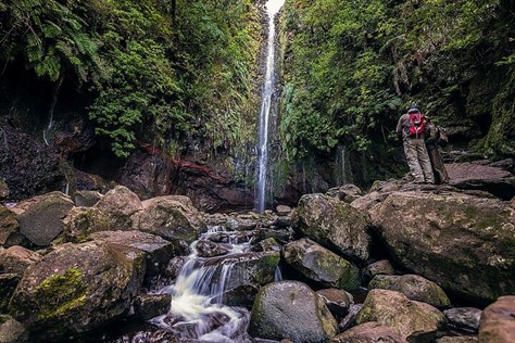 Terreno para acampamentos em Madeira - Aventura em meio à natureza