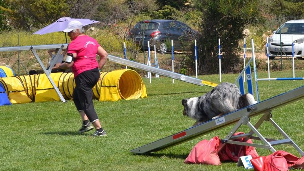 Terrain pour entraînement de chiens à Paris - Faites briller votre meilleur ami