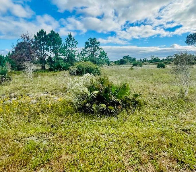 Discover Nature's Haven: Rent a Tranquil Plot for Memorable Outdoor Experiences in Los Angeles!