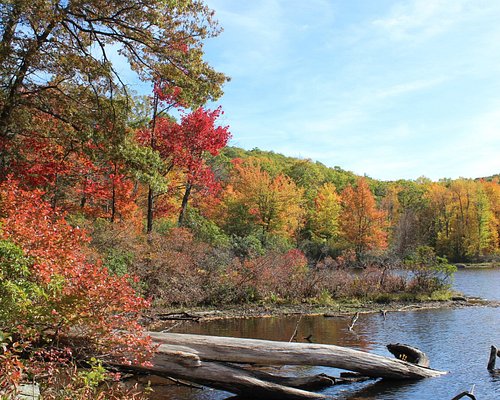 Nature's Paradise in New York: Rent a Serene Plot for Memorable Outdoor Experiences!