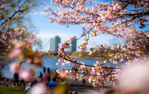 Discover a natural paradise in Toronto!