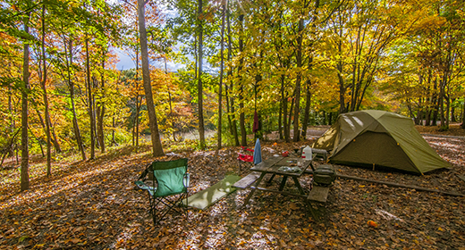 Experience Outdoor Bliss in New York: Rent a Charming Plot for Memorable Excursions!