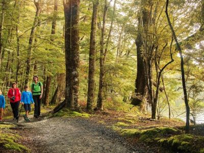 Embrace the Magic of New Zealand: Rent a Charming Plot for Unforgettable Outdoor Adventures!