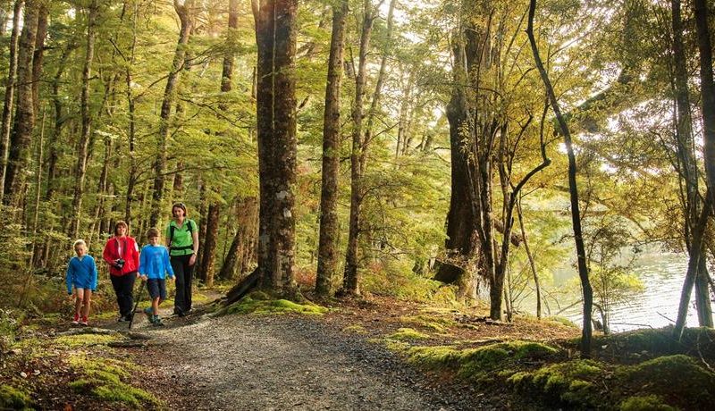 Embrace the Magic of New Zealand: Rent a Charming Plot for Unforgettable Outdoor Adventures!