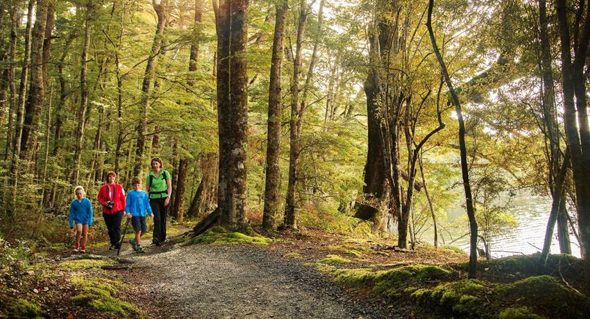 Embrace the Magic of New Zealand: Rent a Charming Plot for Unforgettable Outdoor Adventures!