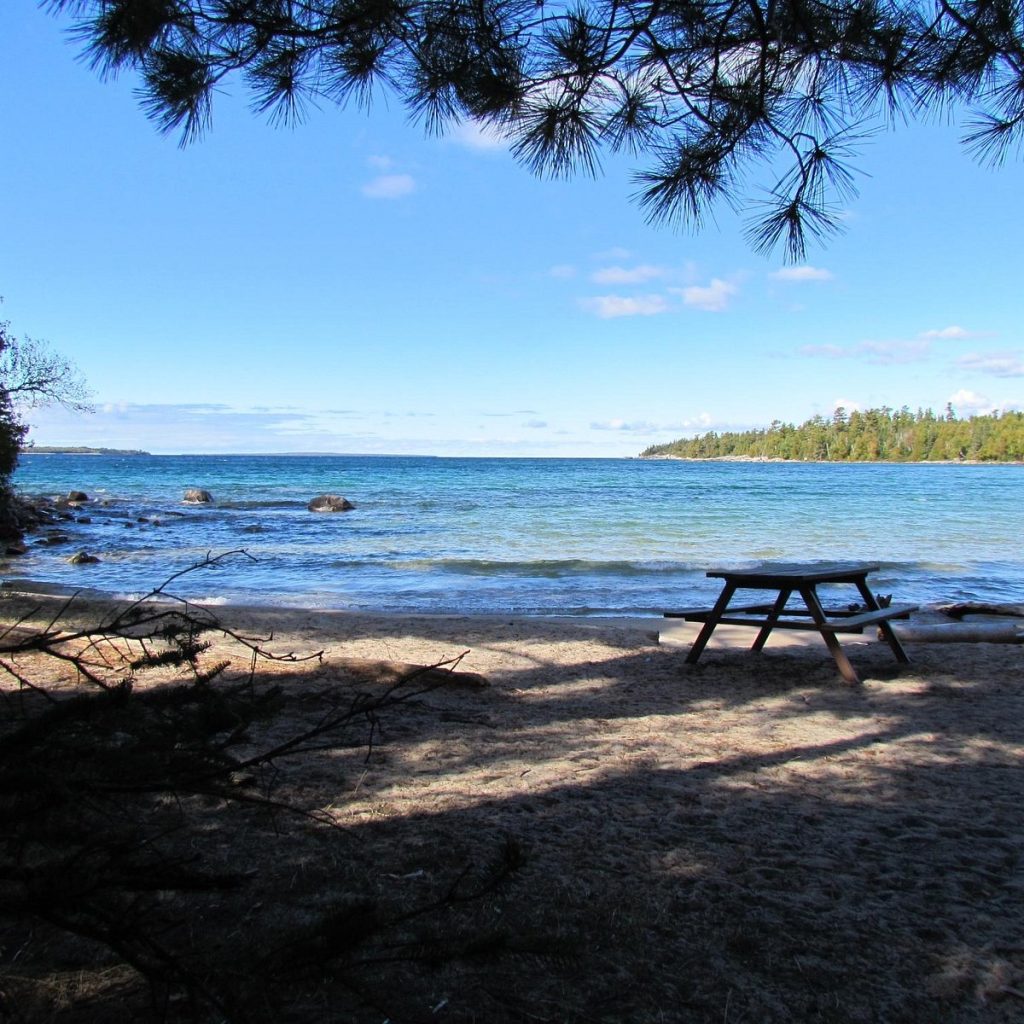 Escape the Ordinary: Rent a Prime Plot for Your Next Adventure in Toronto!