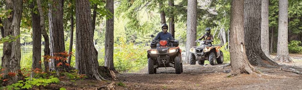 Discover Your Oasis in Toronto: Rent a Scenic Plot for Unforgettable Moments!