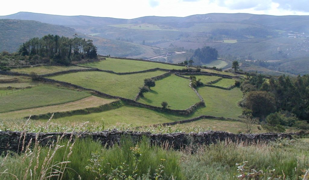 ¿Te gusta la naturaleza y agricultura en Galicia?