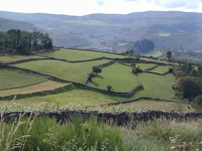 ¿Te gusta la naturaleza y agricultura en Galicia?