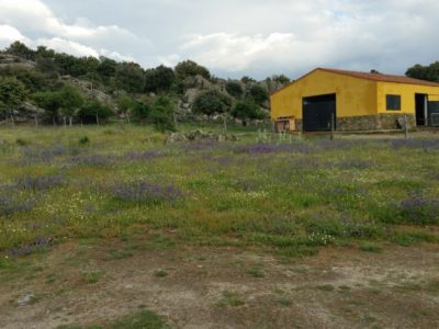 Alquila estupendo terreno en Madrid