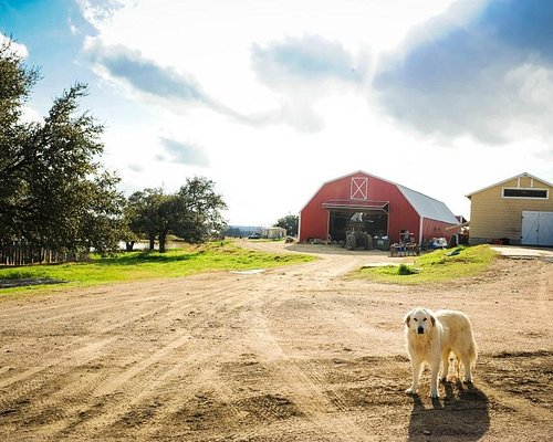 Escape to Texas Wilderness: Rent a Spectacular Plot for Unforgettable Outdoor Experiences!