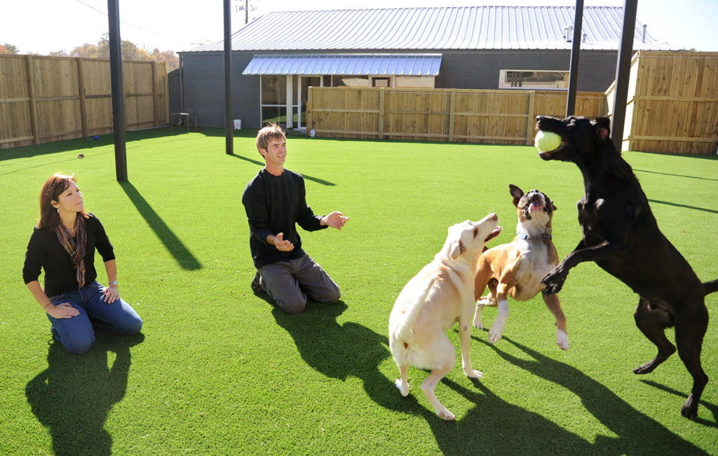 Dog training facility in Birmingham (United Kingdom)